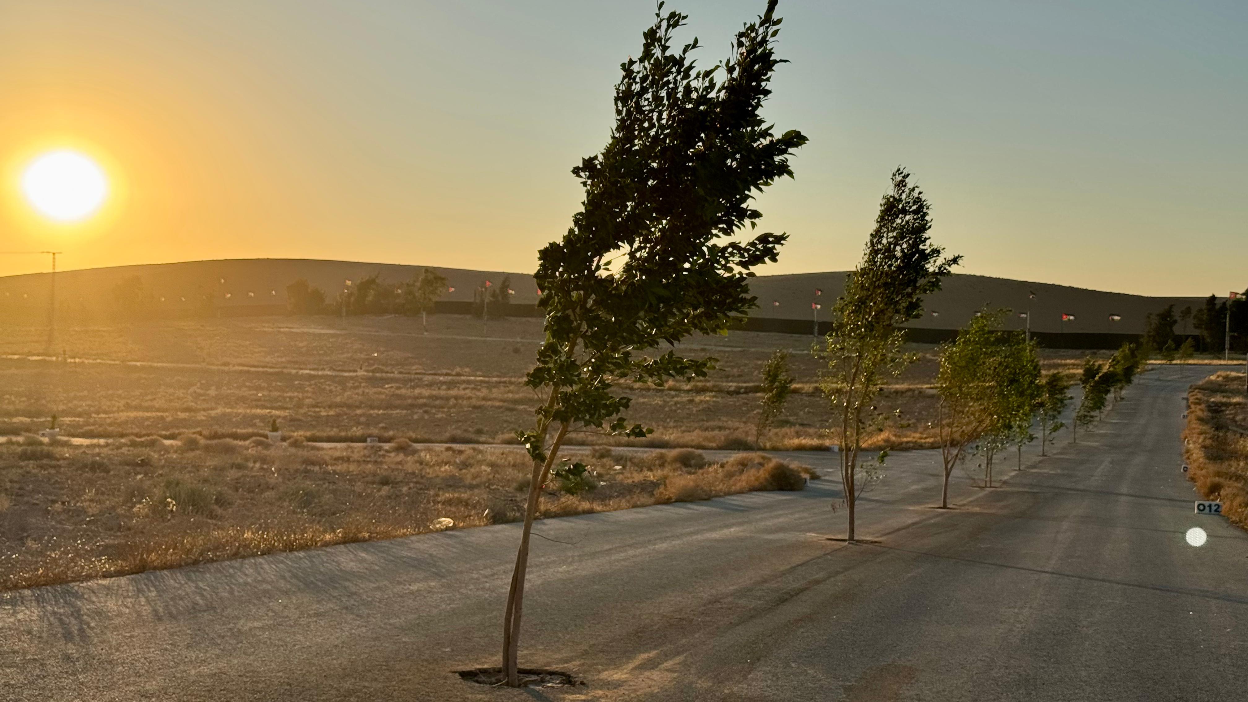 منتجعات Giving City